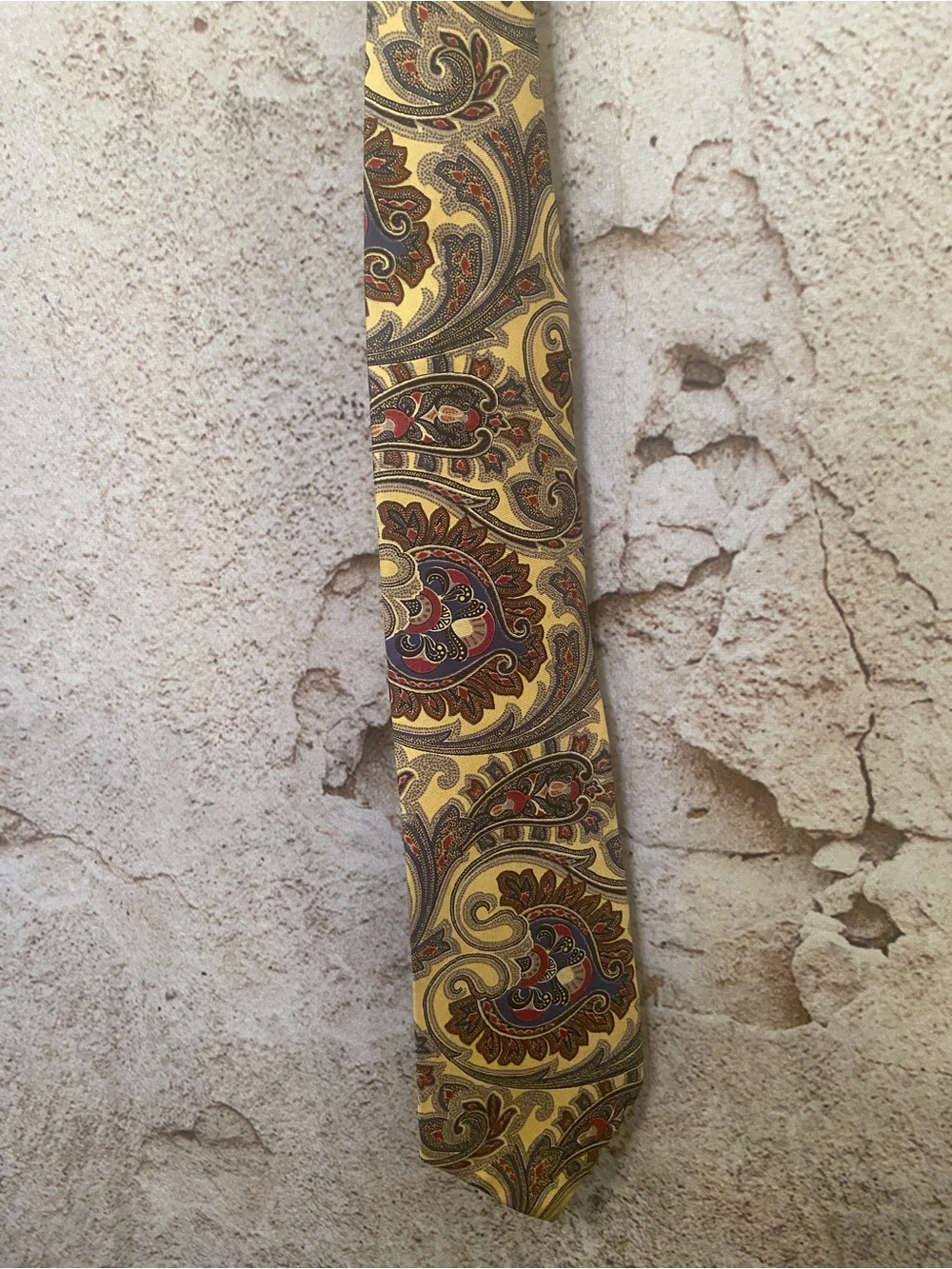MENS Hathaway Paisley Silk Tie